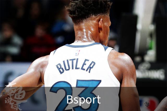 关于Bsport